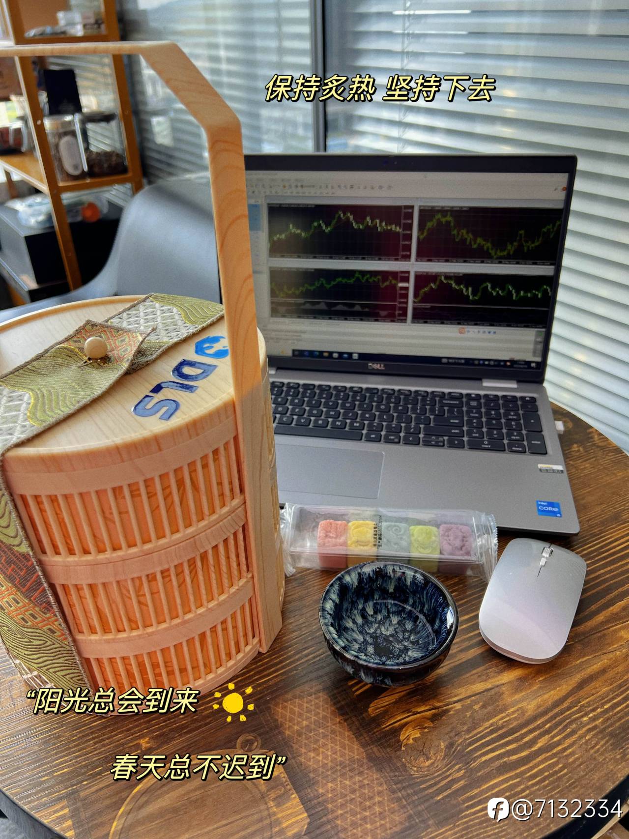 feed-image-1