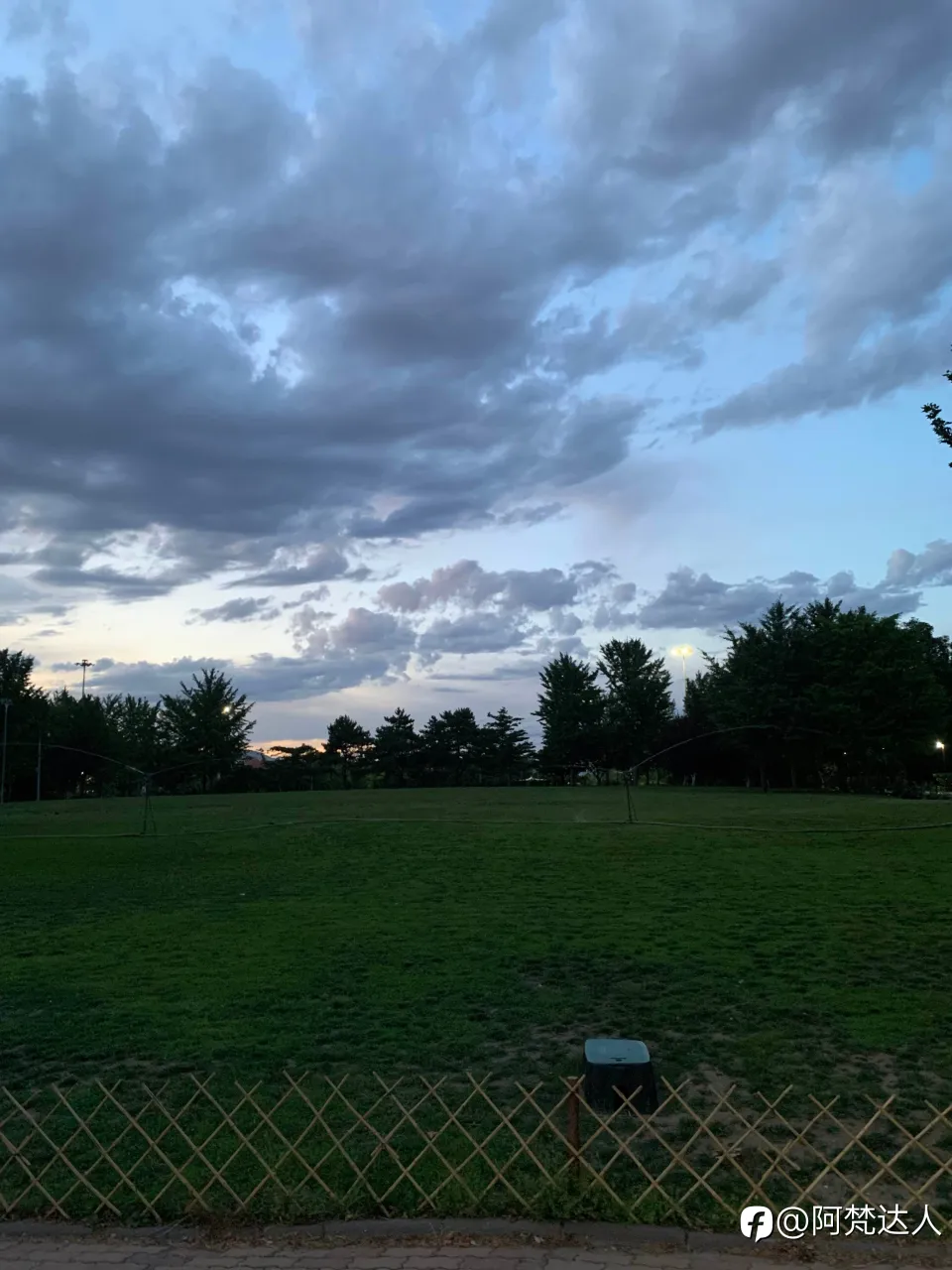 feed image