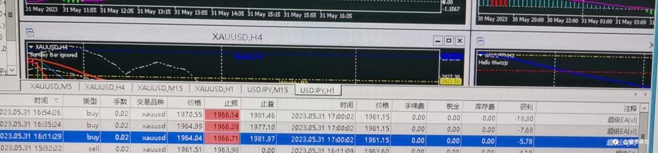 feed-image-1