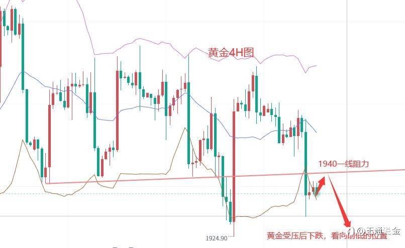 对两个“鹰王”失望透顶