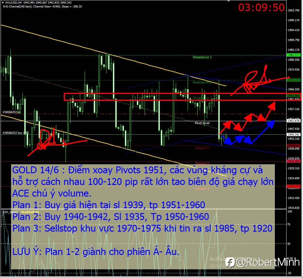 Plan Gold 14/6