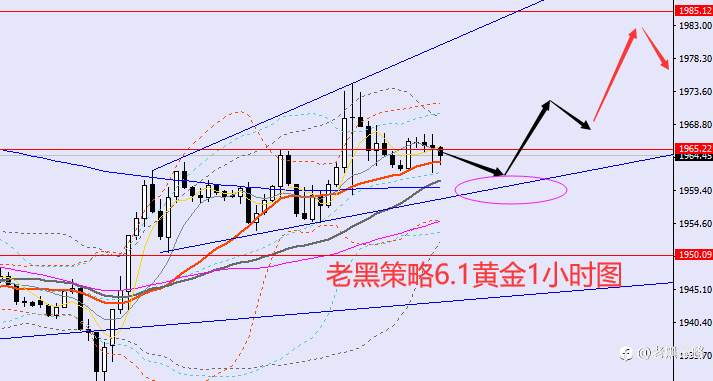 老黑策略：6.1外汇、黄金、原油分析策略
