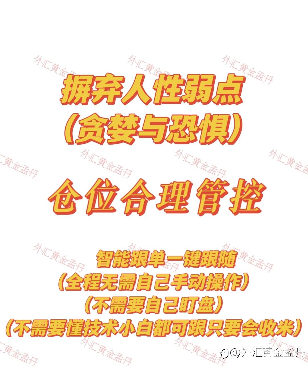 feed-image-2