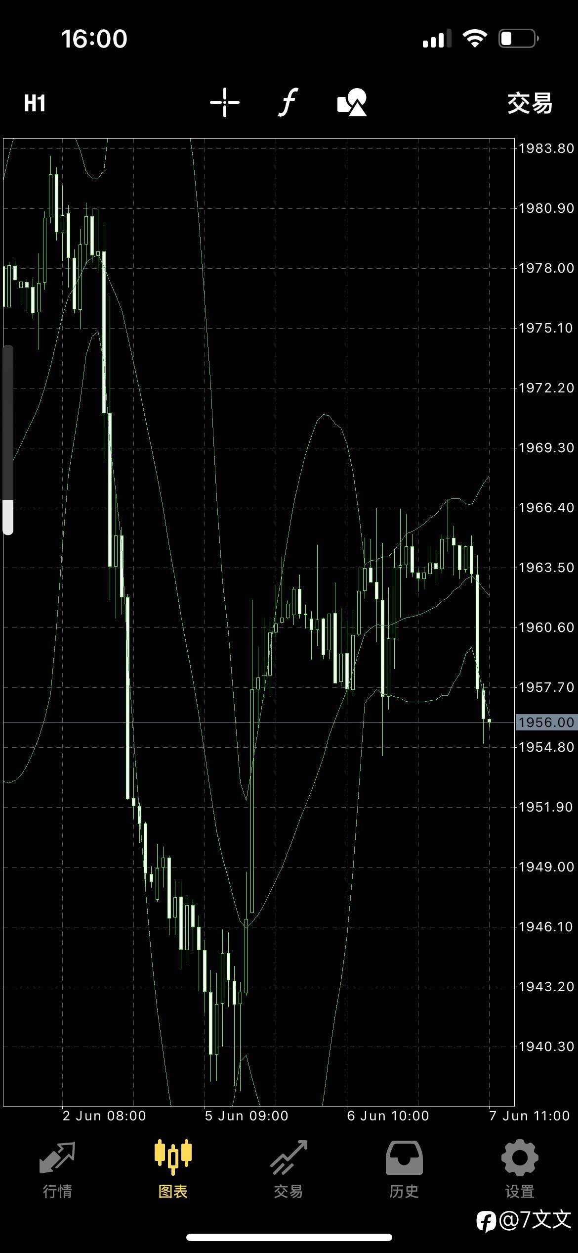 feed-image-1