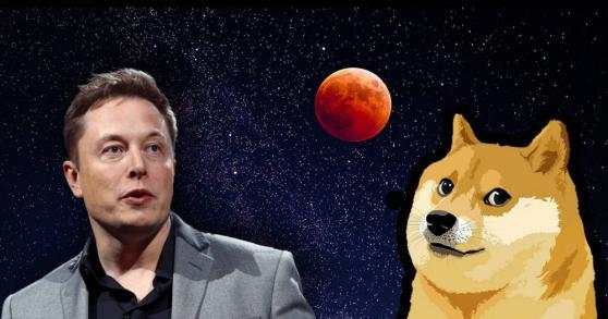 Elon Musk bị tố giao dịch nội gián Dogecoin