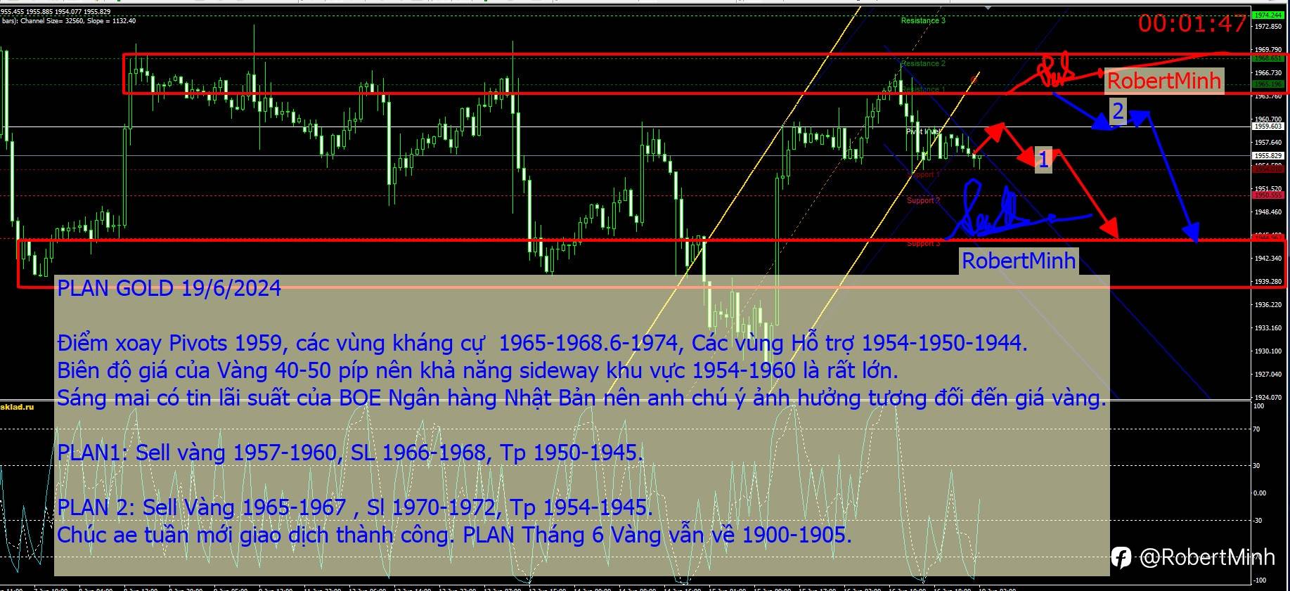Plan Gold 19/6