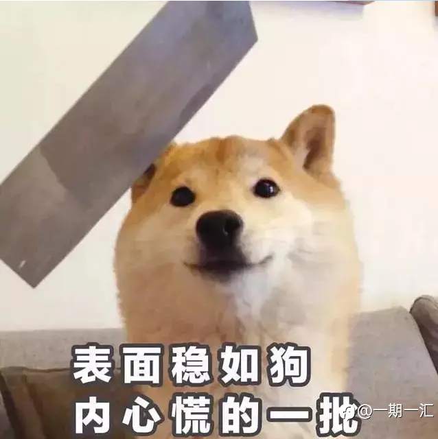 该走的路一步都少不了-我的故事(四)