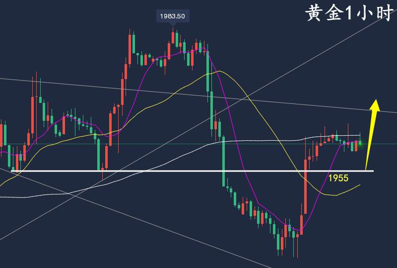 万锦晟6.6最新黄金走势分析，黄金如期反弹回踩继续多！