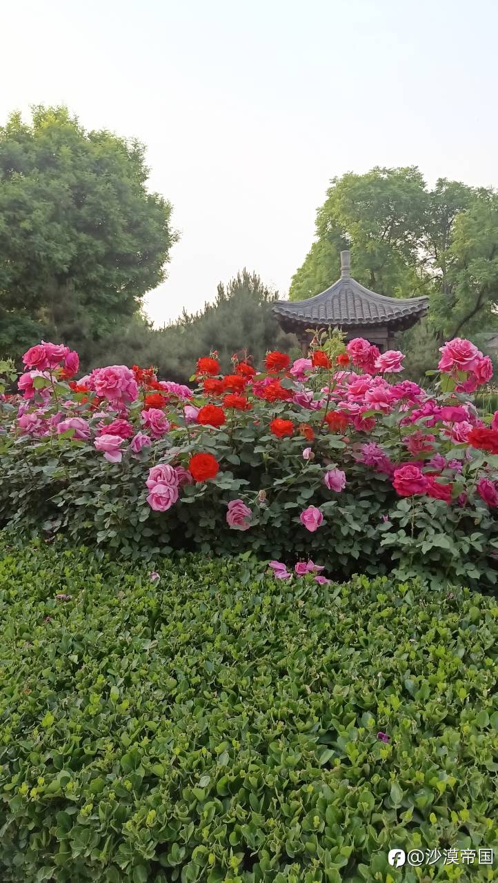 2023.6.30外汇每日交易策略