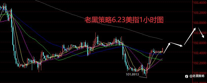 老黑策略：6.23外汇、黄金、原油分析策略