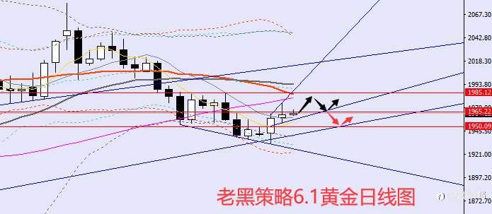 老黑策略：6.1外汇、黄金、原油分析策略
