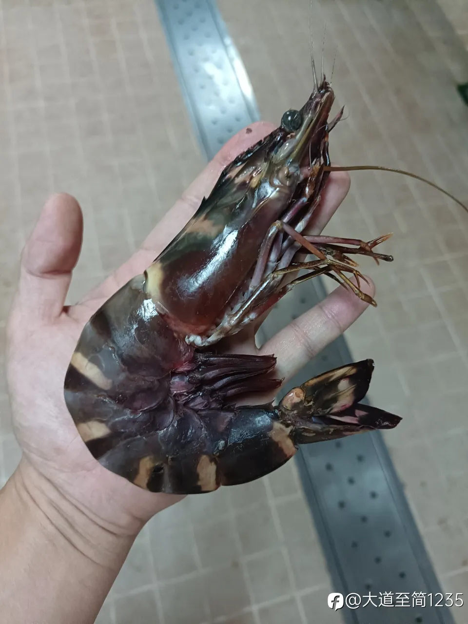 feed image