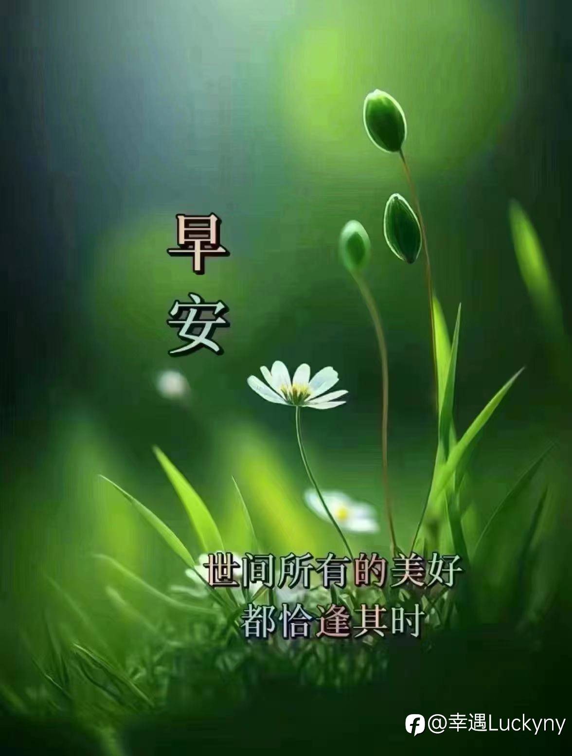 我自岿然不动！