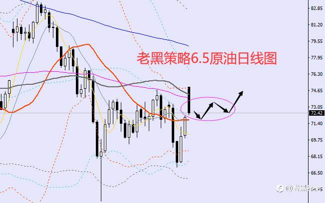 老黑策略：6.5外汇、黄金、原油分析策略