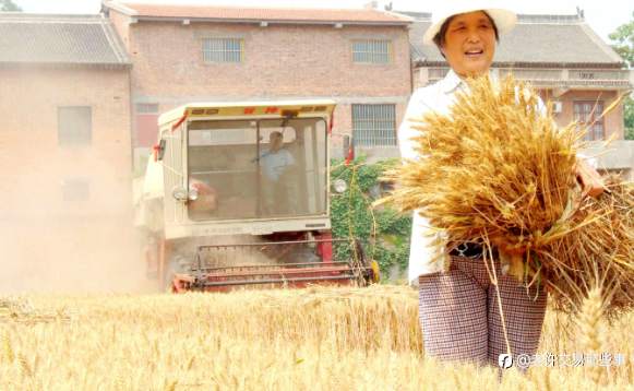 系统要优化，但不能过度优化