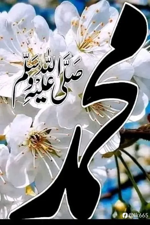 feed image