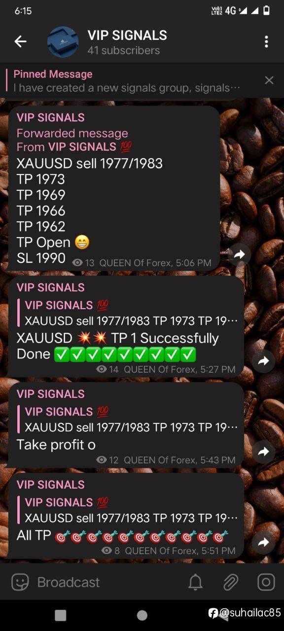 feed-image-1