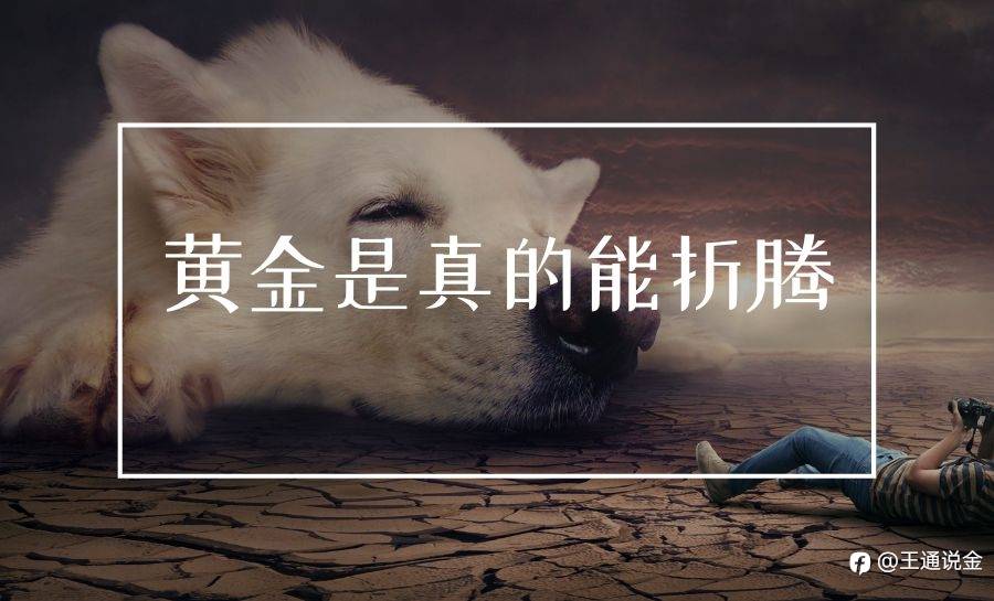 黄金是真的能折腾