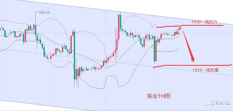 美联储鹰鸽斗争开始