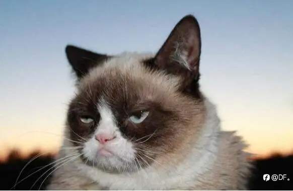 如何选择量化EA软件?