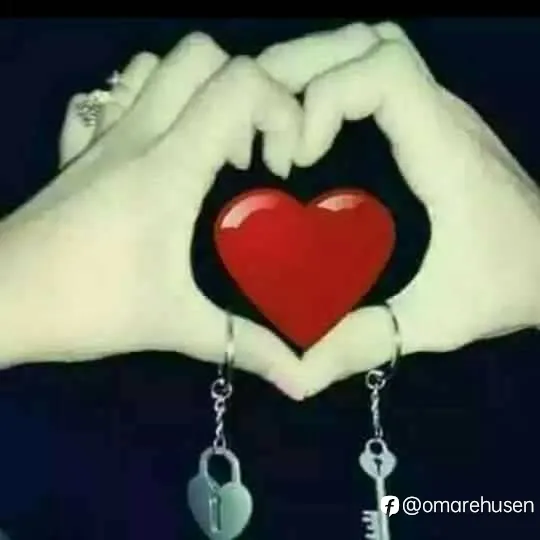 feed image