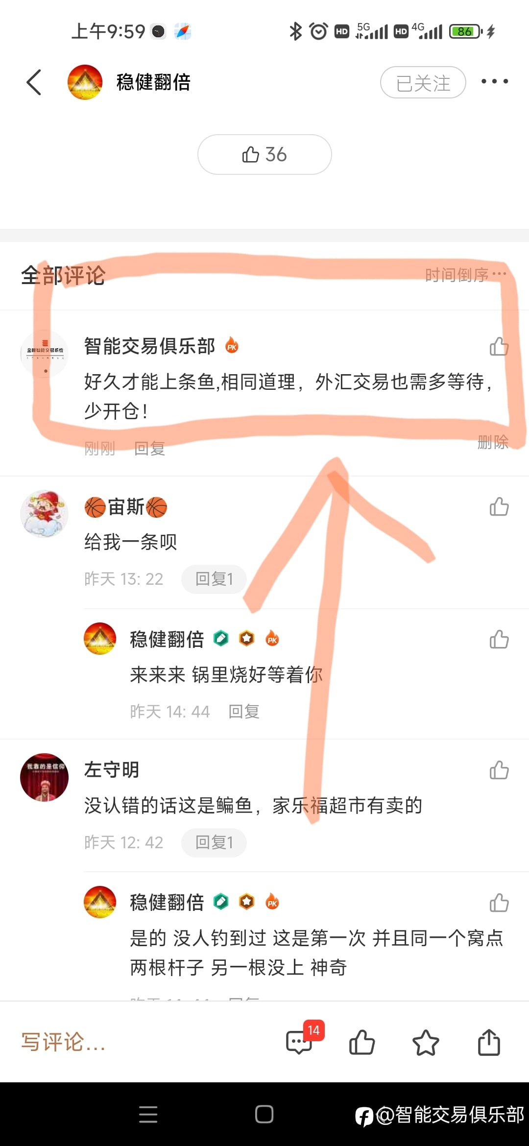 上鱼盈利