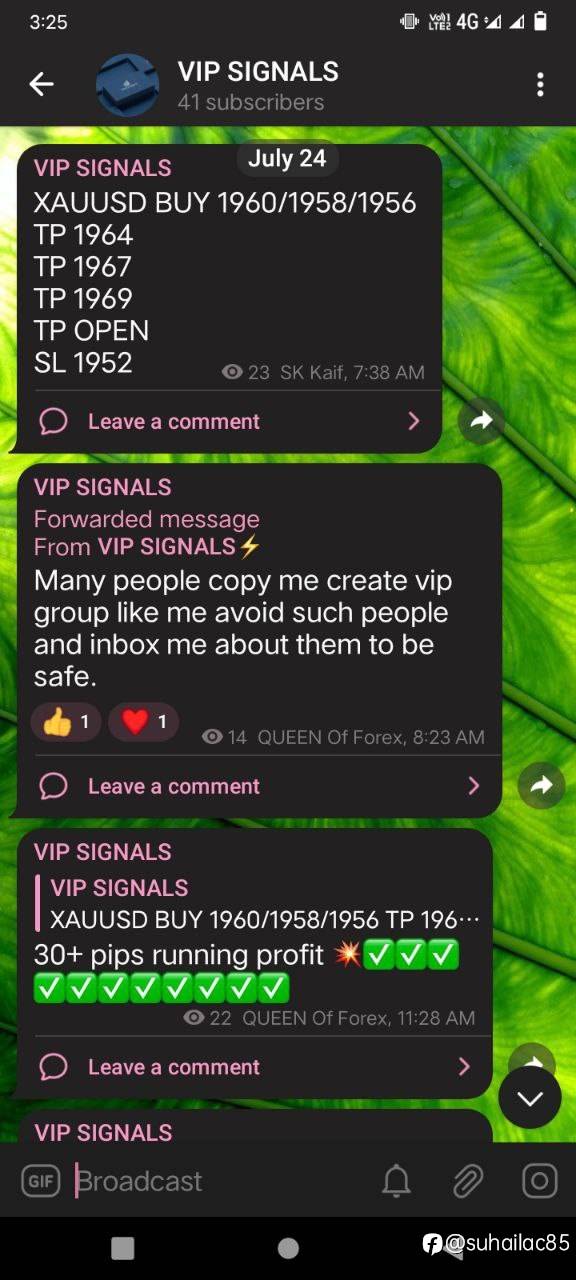 feed-image-0