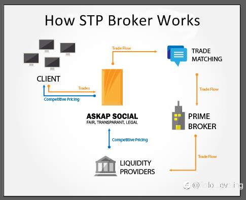 Understanding Bridge Systems in Forex Trading