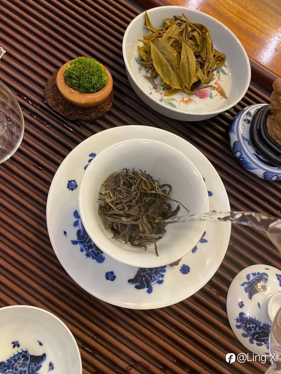 feed-image-3