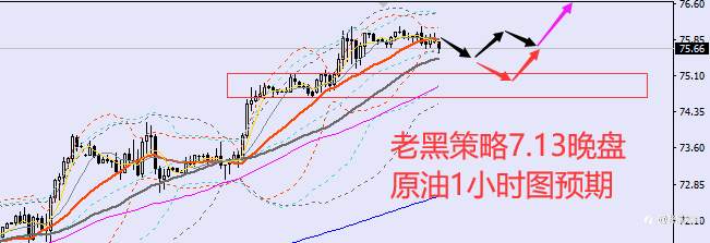 老黑策略：7.13晚盘外汇、黄金、原油分析策略