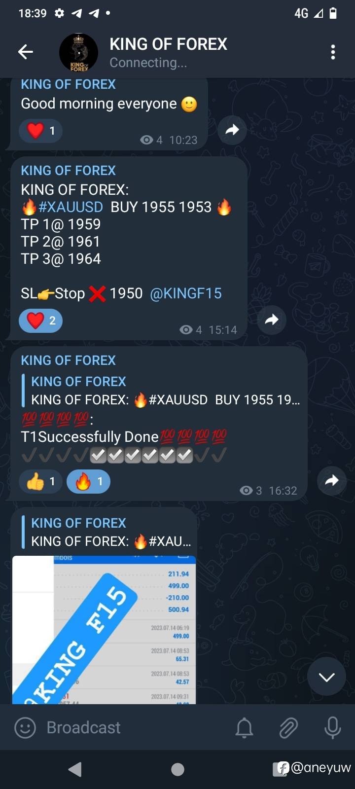 feed-image-1