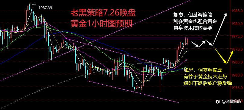 老黑策略:7.26晚盘外汇、黄金、原油分析策略