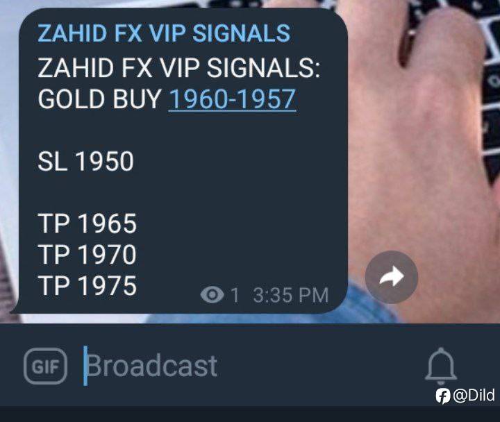 feed-image-0