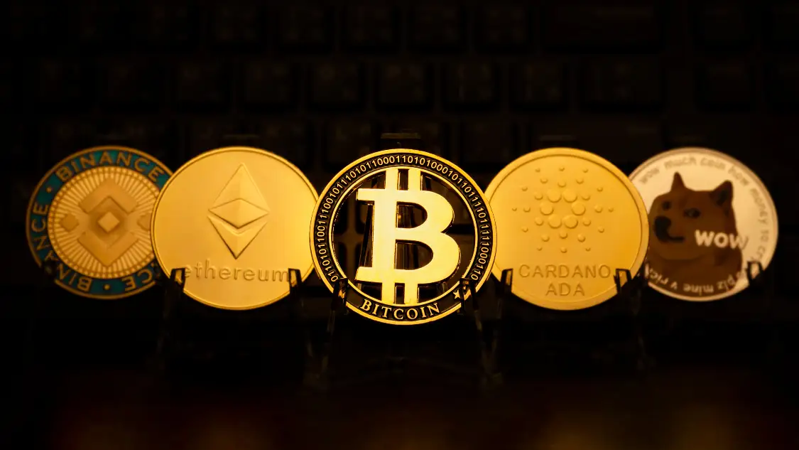 feed image
