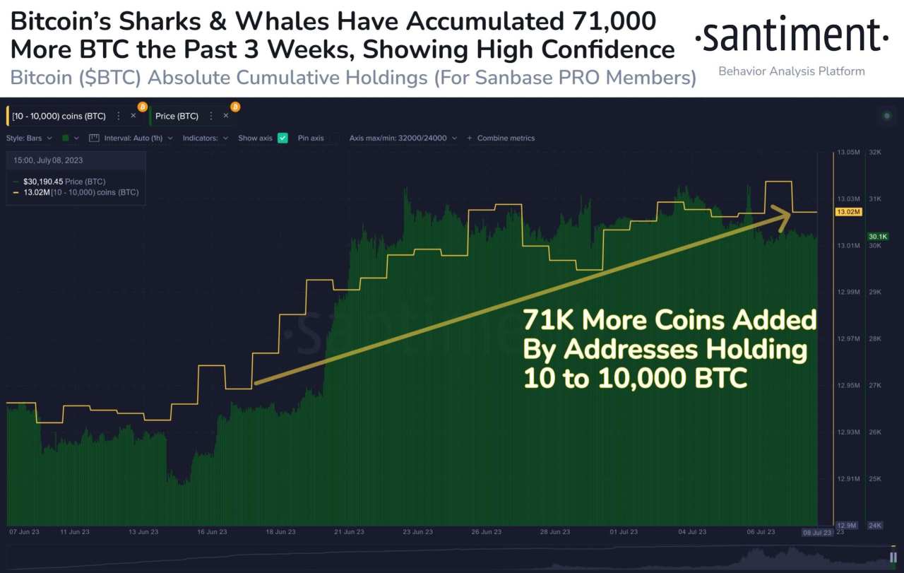 Cá voi tích lũy 71.000 BTC sau 3 tuần, giá sẽ tăng chăng?