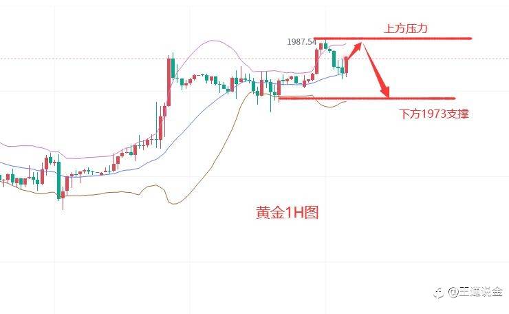 黄金是真的能折腾