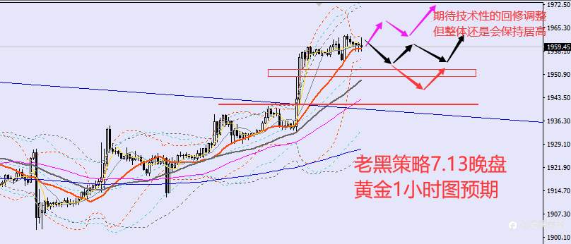 老黑策略：7.13晚盘外汇、黄金、原油分析策略