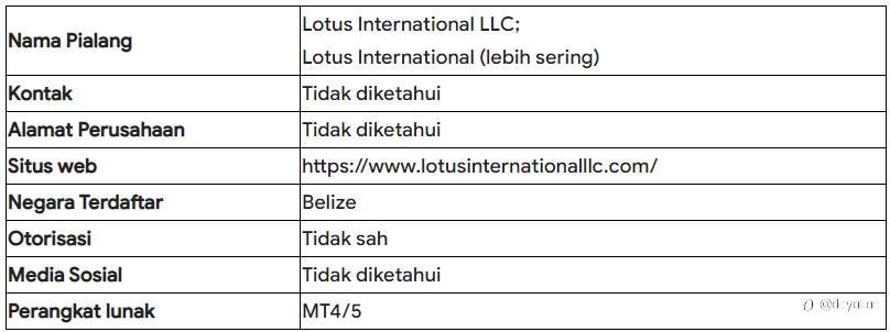 Tinjauan Internasional Lotus 2023: Mengatasi Kekhawatiran dan Keterbatasan