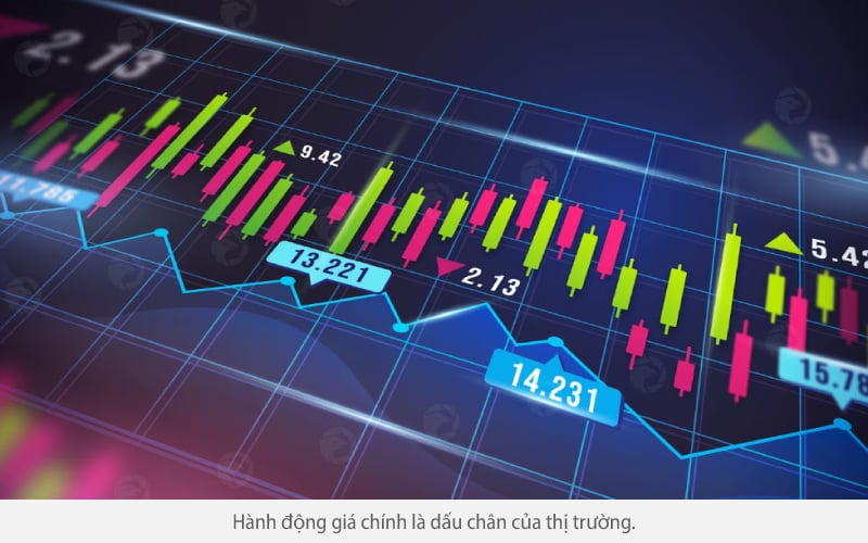 Cách giao dịch dựa trên hành động giá - WikiFX Vietnam Live