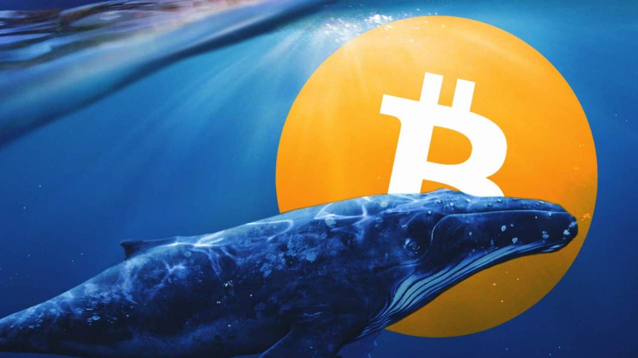 Glassnode cho biết hơn 450 tỷ đô la BTC được cá voi dài hạn tích lũy