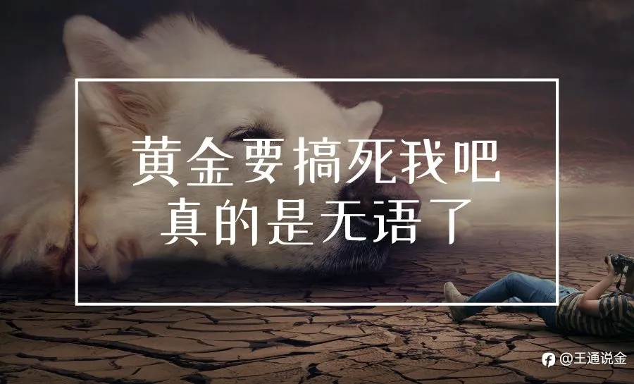 黄金要搞死我吧，真的是无语了