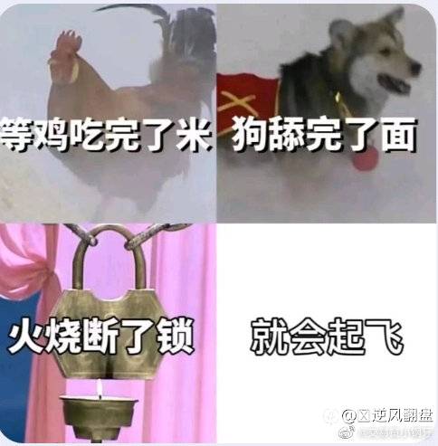 feed image