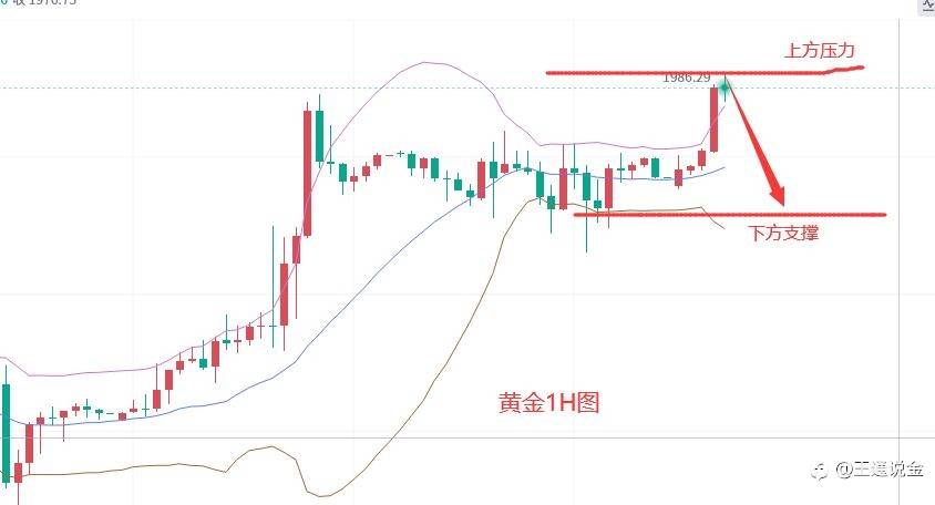 粮食危机爆发,黄金将会如何