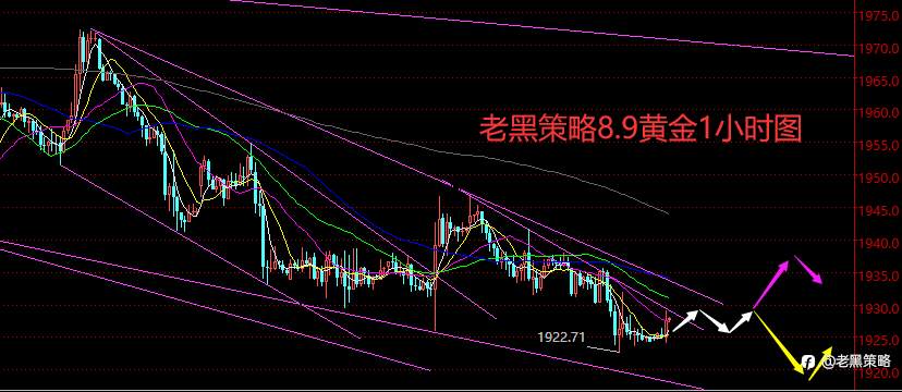 老黑策略：8.9外汇、黄金、原油分析策略