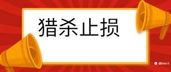 外汇止损闲聊体会