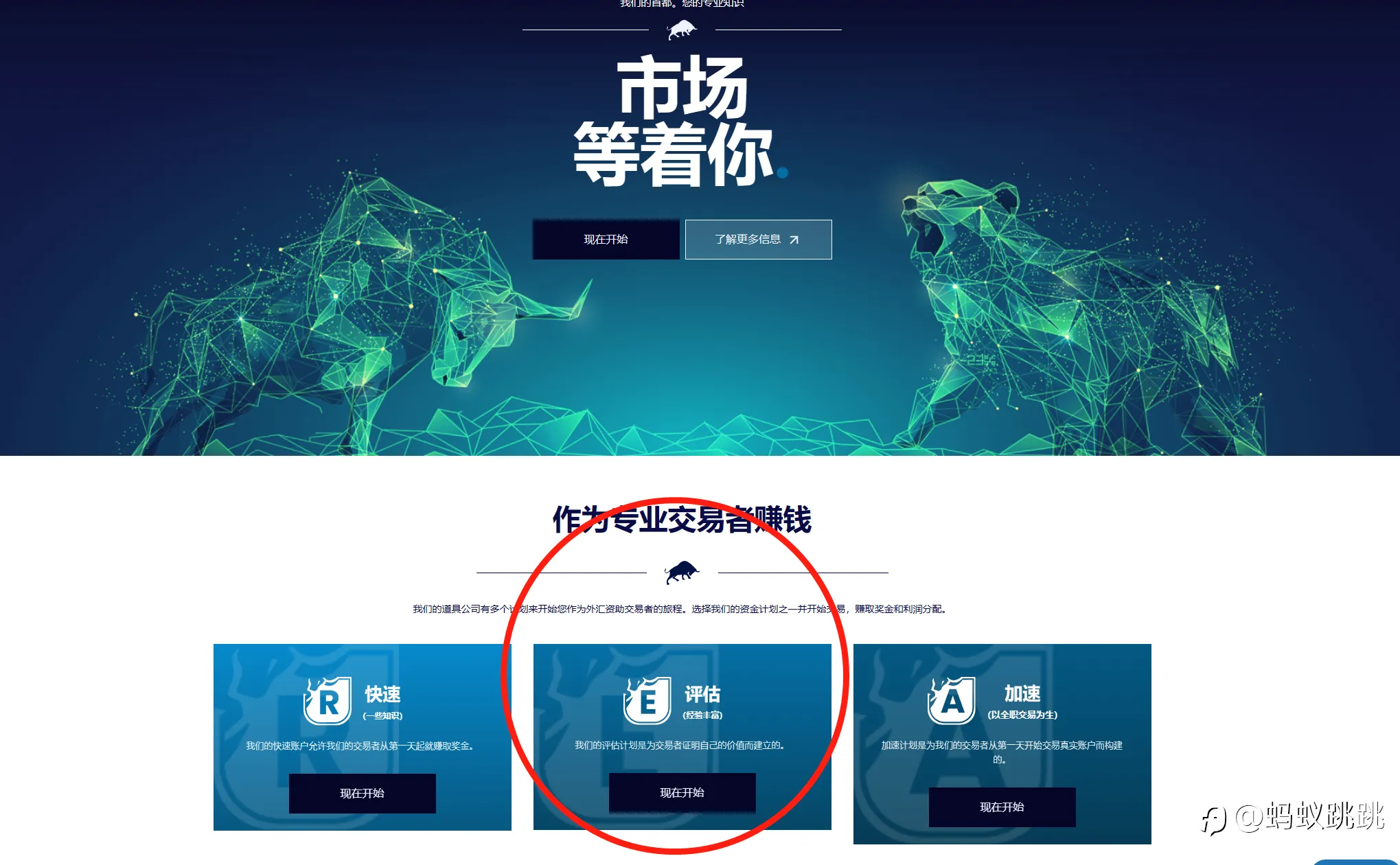 新手挑战通关FTMO、MFF的考核。走稳定盈利之路。