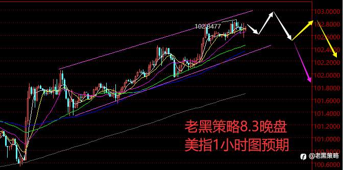 老黑策略：8.3晚盘外汇、黄金、原油分析策略