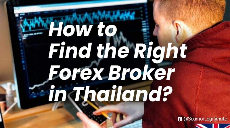 How to Find the Right Forex Broker in Thailand?