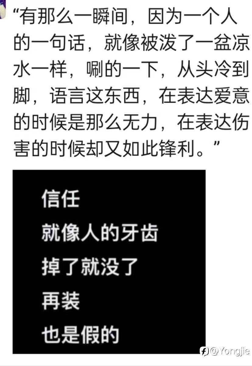 feed-image-0