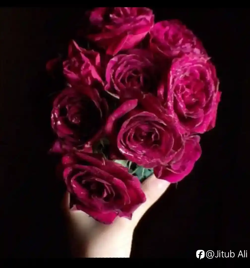 feed image